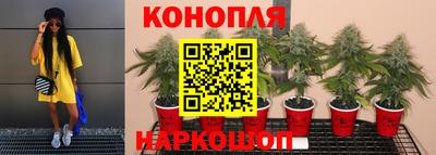 мдма Сланцы